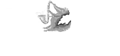 Logo Jazz Rally