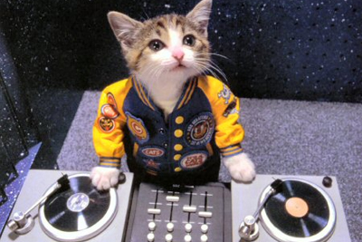 iparties - Disco und Eventsagentur - DJ's